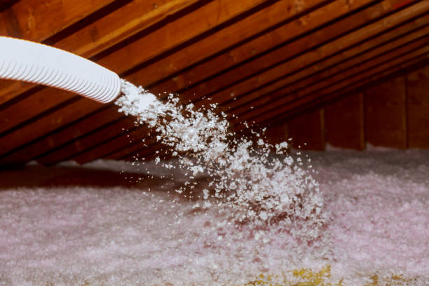 Best Insulation Maintenance and Repair in Valinda, CA