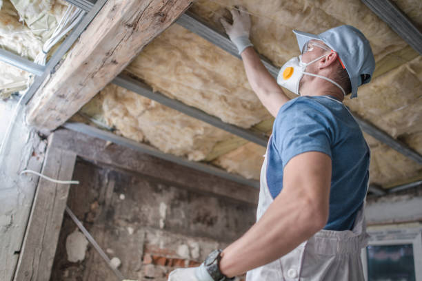 Best Energy Efficiency Insulation in Valinda, CA