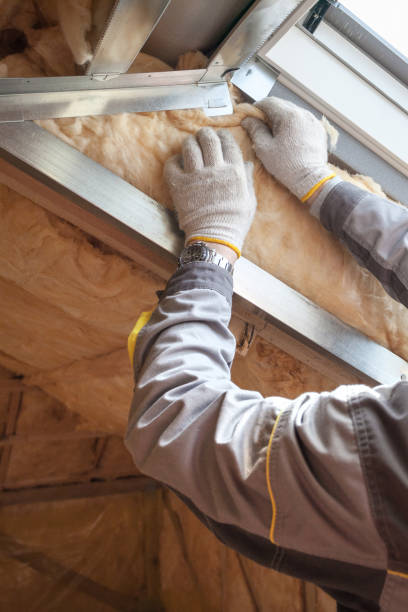 Professional Insulation Contractor in Valinda, CA